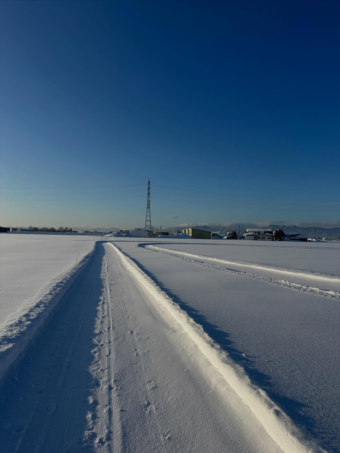 今日は7:30の時点で-12°c