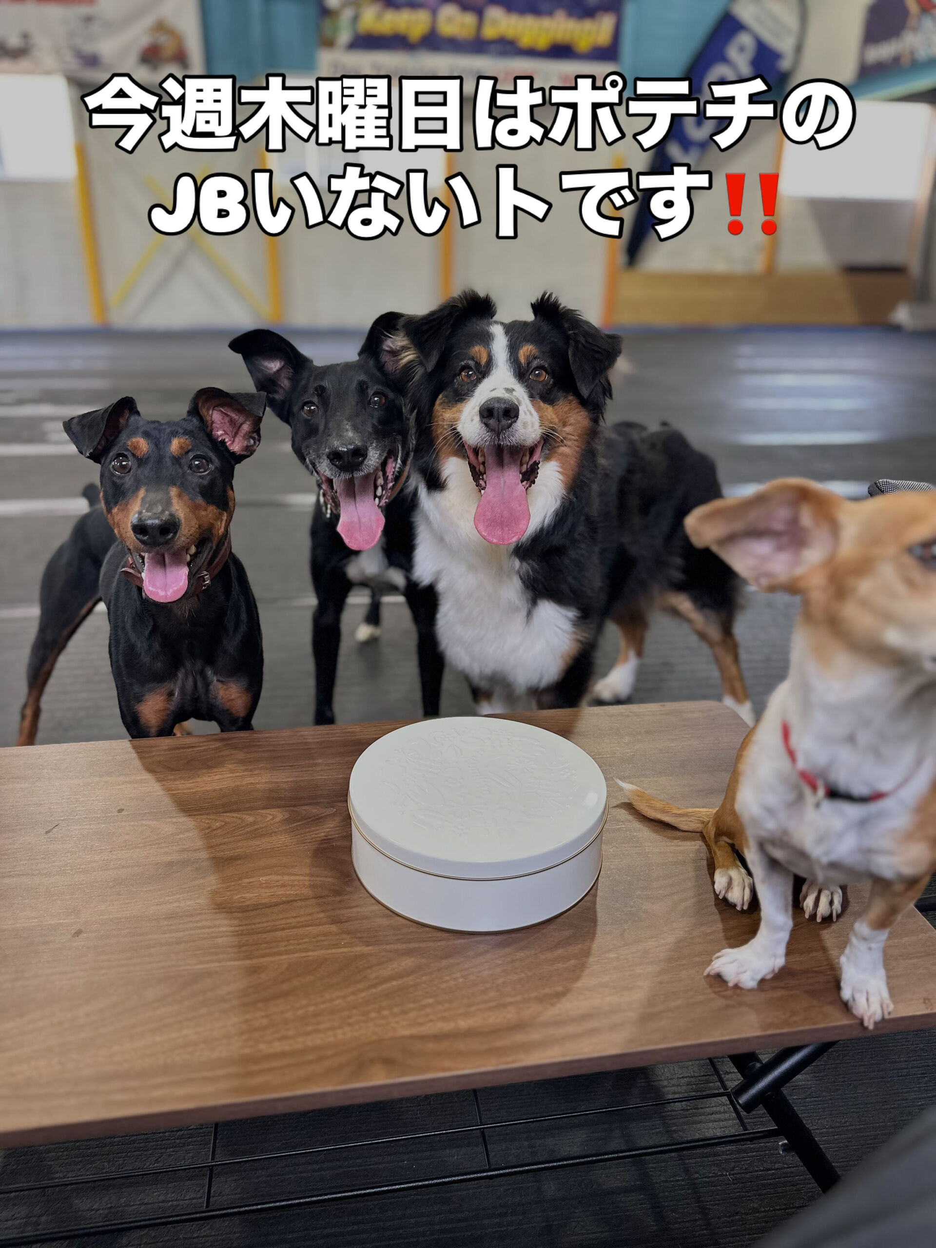 いつもの木曜日ナイターはJBナイトの時間ですが、全日本選手権